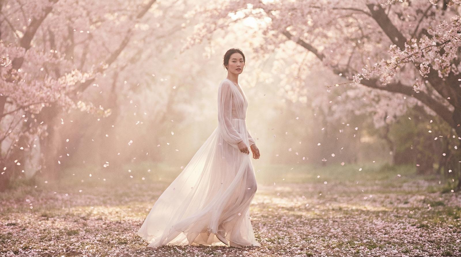 每日大赛樱花季唯美视频